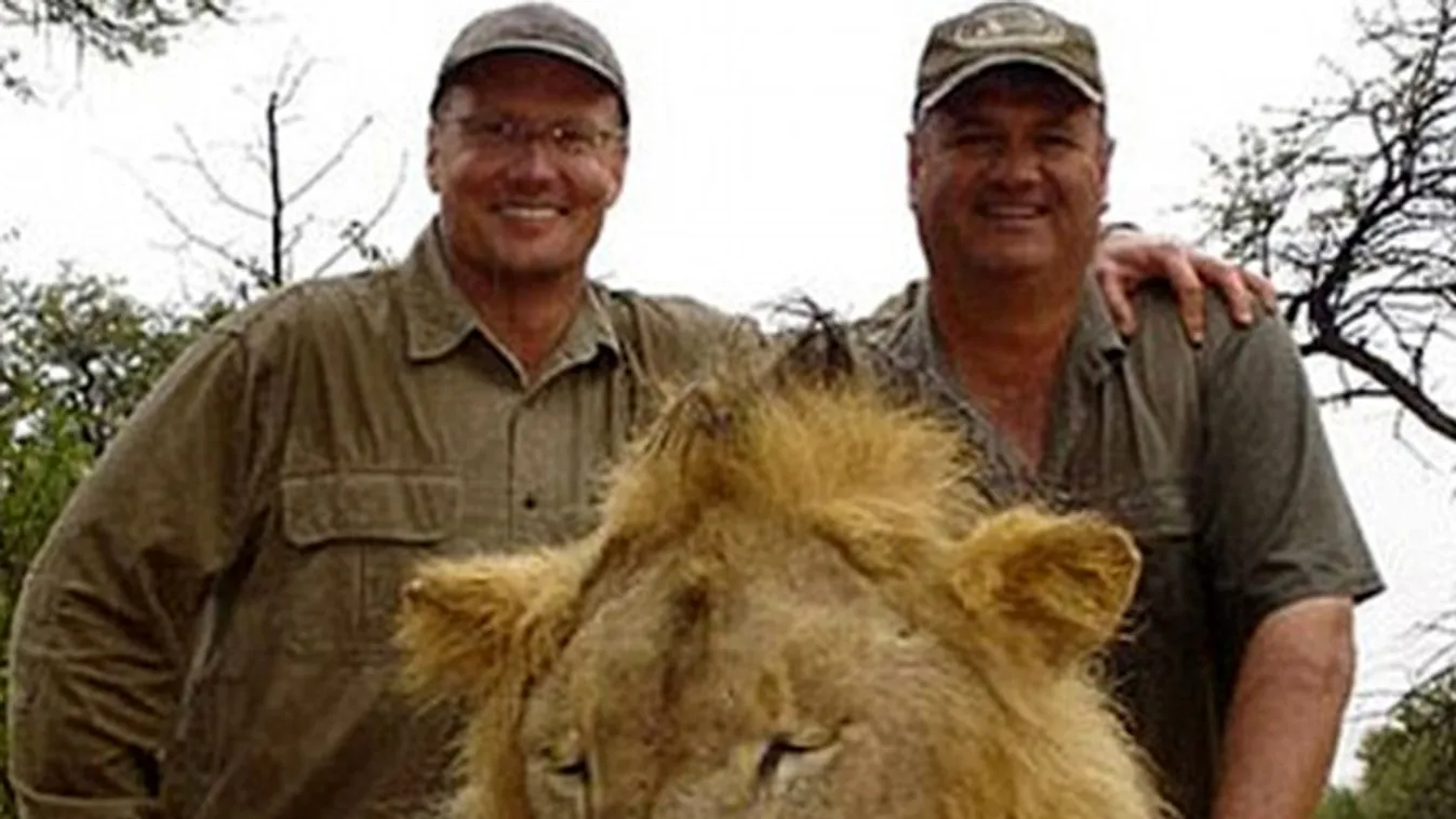 Hírességek is kiakadtak a fogorvoson, aki végzett Afrika leghíresebb oroszlánjával 