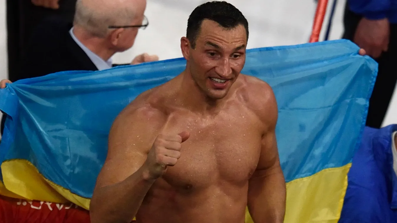 Vlagyimir Klicsko, boksz, profi boksz 