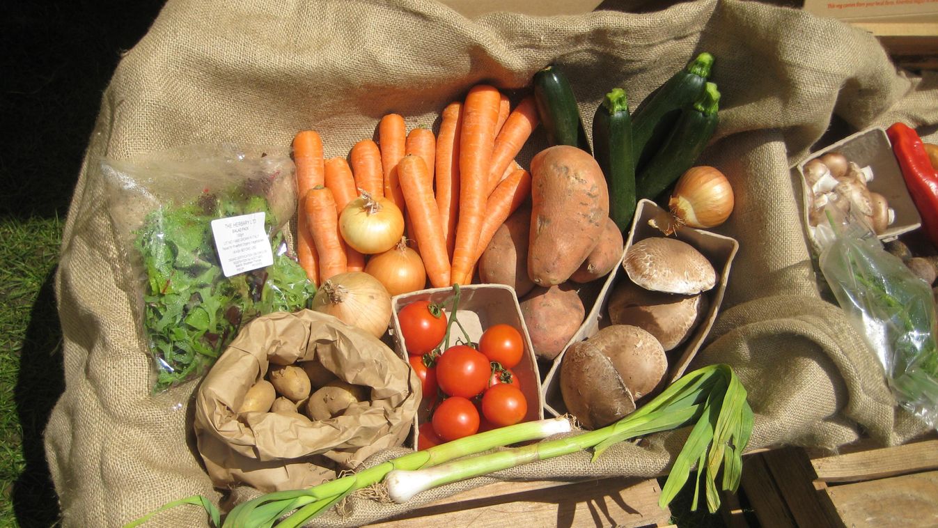 zöldség biozöldség organikus szállítás 