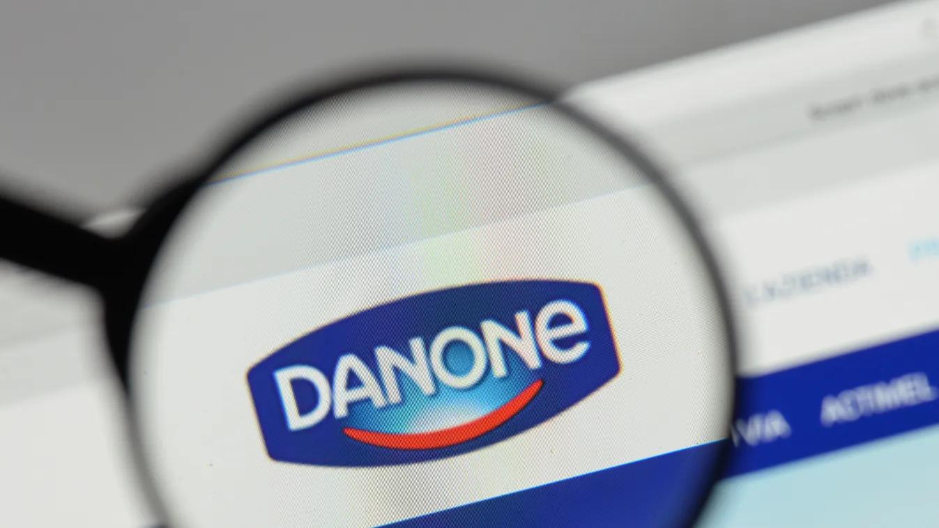 Danone cég, Danone Kft. 