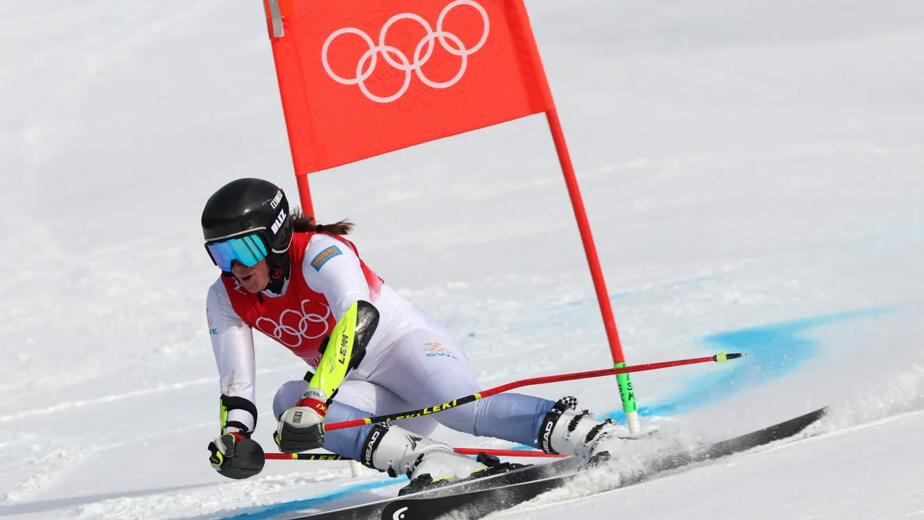 Horizontal OLYMPIC GAMES WINTER OLYMPIC GAMES ALPINE SKIING 