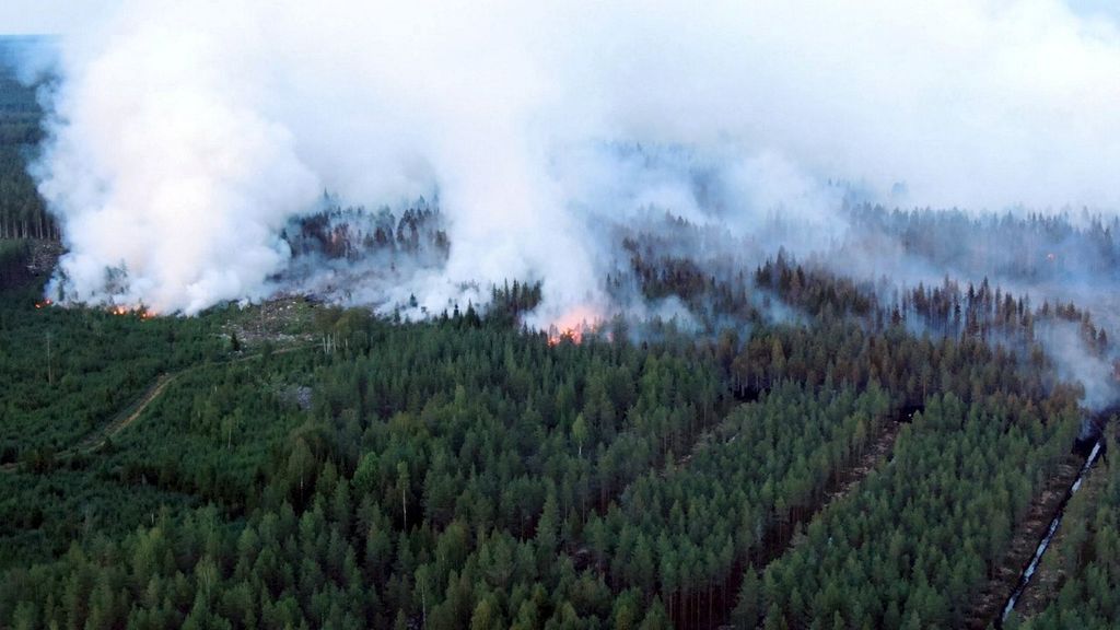 aerial view general view forest fire aerial photo Horizontal 