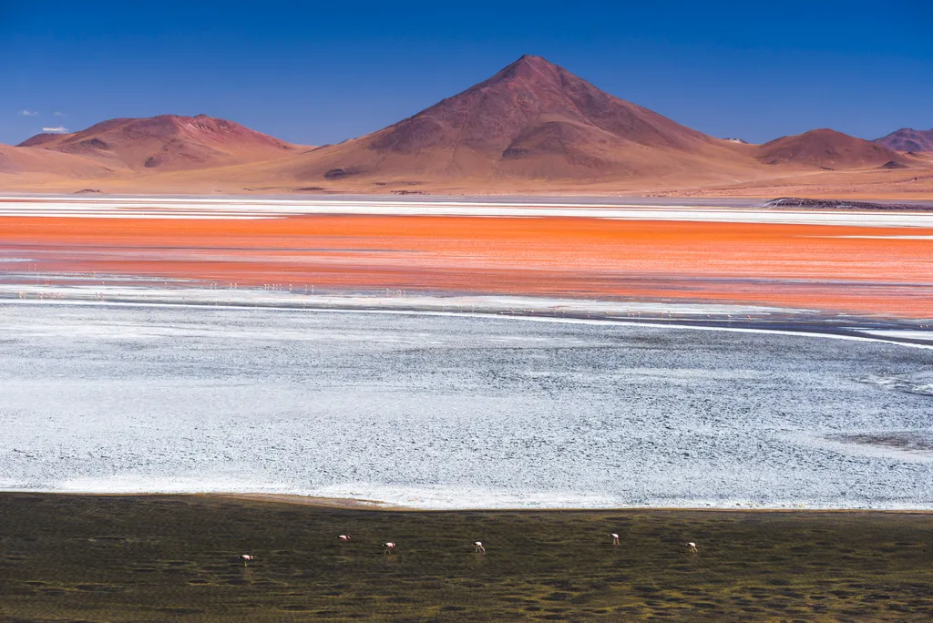 Laguna Colorada Bolívia 