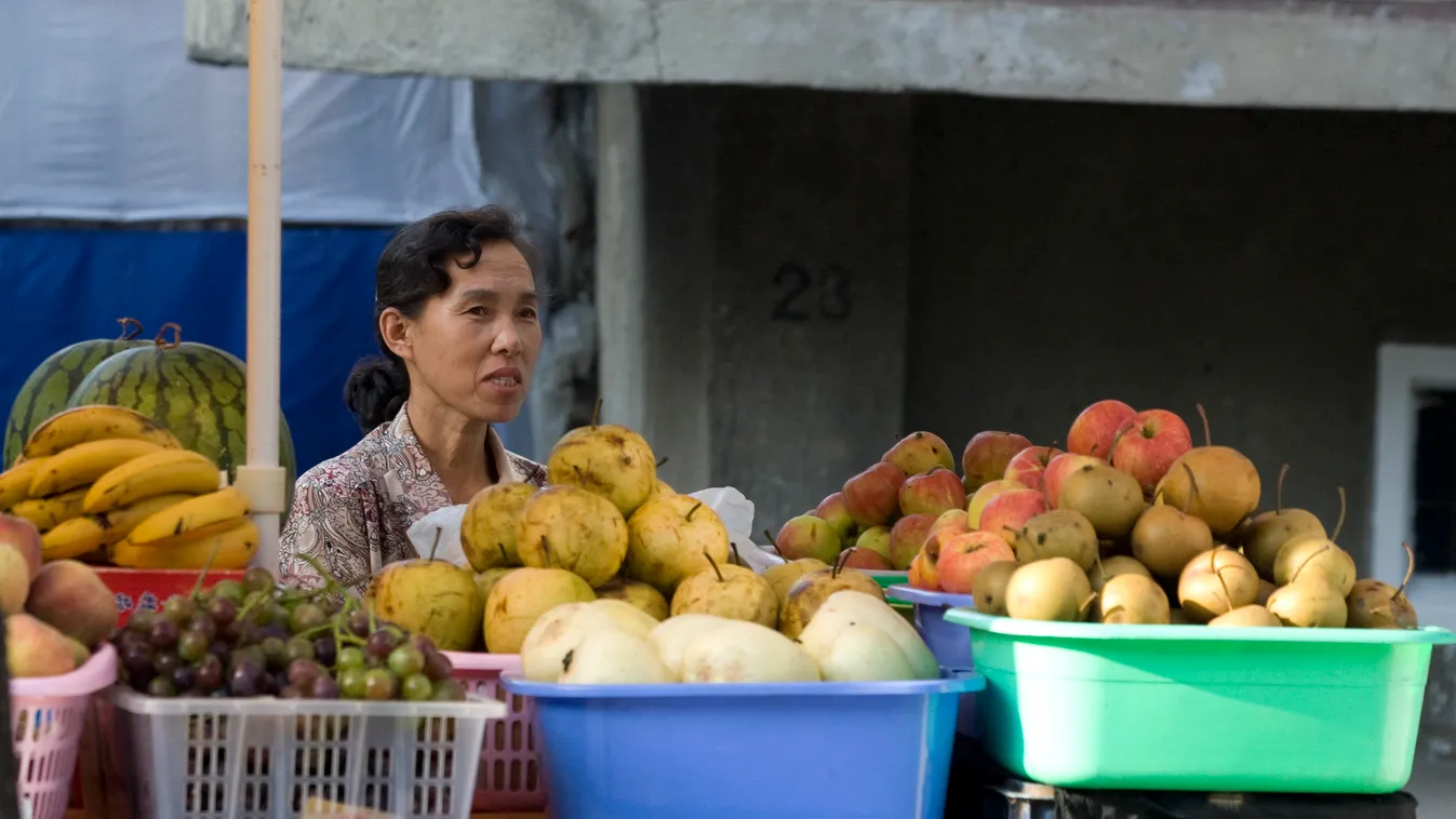 Észak-Korea élelmiszer, vásárlás, 
  NORTH KOREA - NORTH KOREAN WOMAN SELLING FRUITS IN THE STREET - PYONGYANG Bananas Business Day Domestic life Dprk Dprk_0931 Fruits Girls Grapefruits 