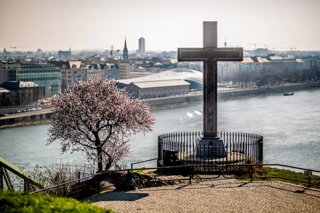 tavasz, virágzás, időjárás, napsütés, Budapest 