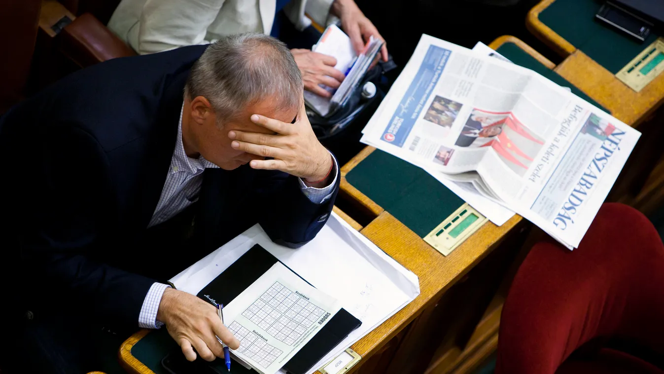 Parlament Országgyűlés, Simon Gábor, MSZP 