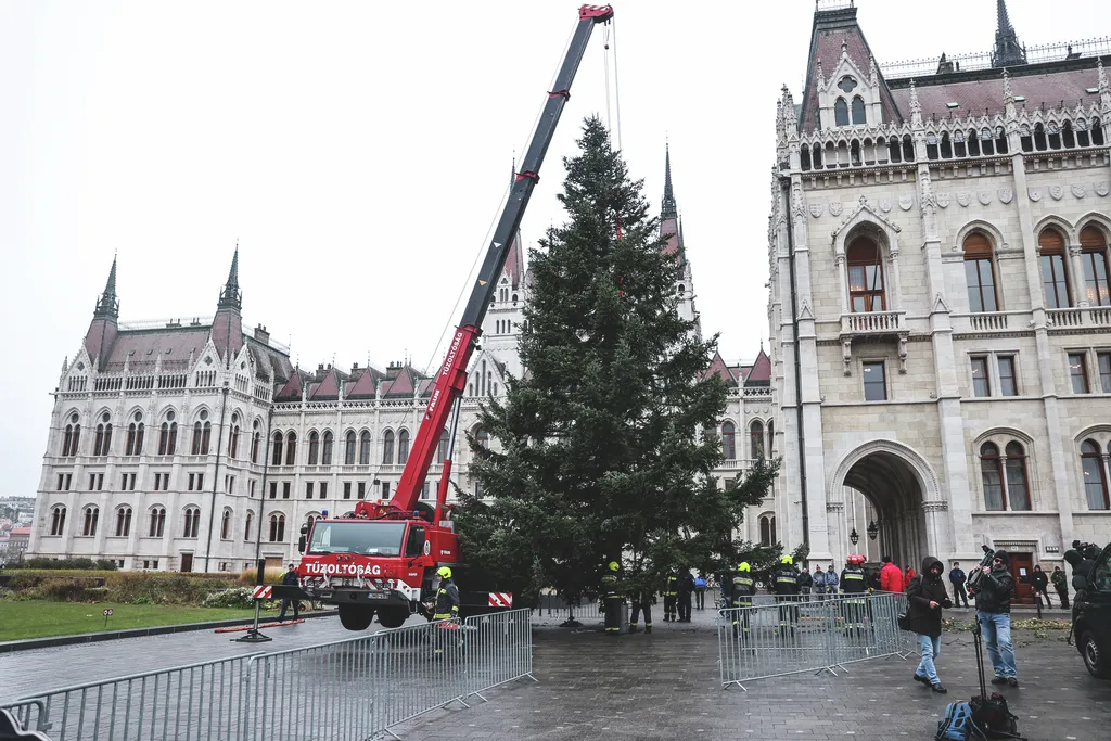karácsonyfa, ország fája, ország, karácsonyfája, karácsony, országház, Kossuth tér, felállítás, állítás, érkezés 