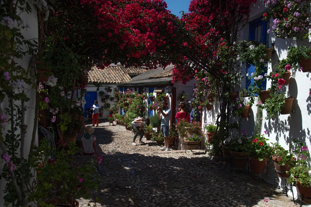 Cordoba Patios Festival Córdoba udavarfesztivál virágok 