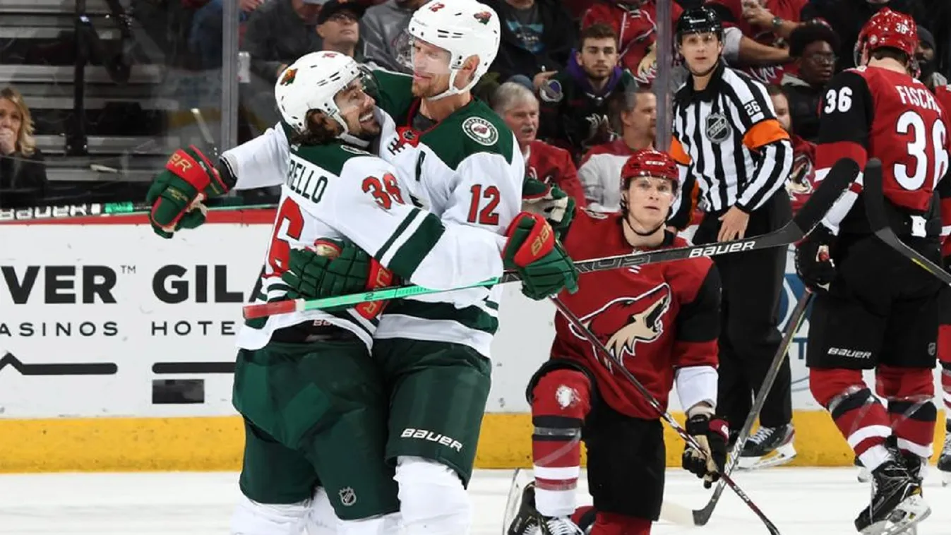 Minnesota Wild, Arizona Coyotes, NHL 