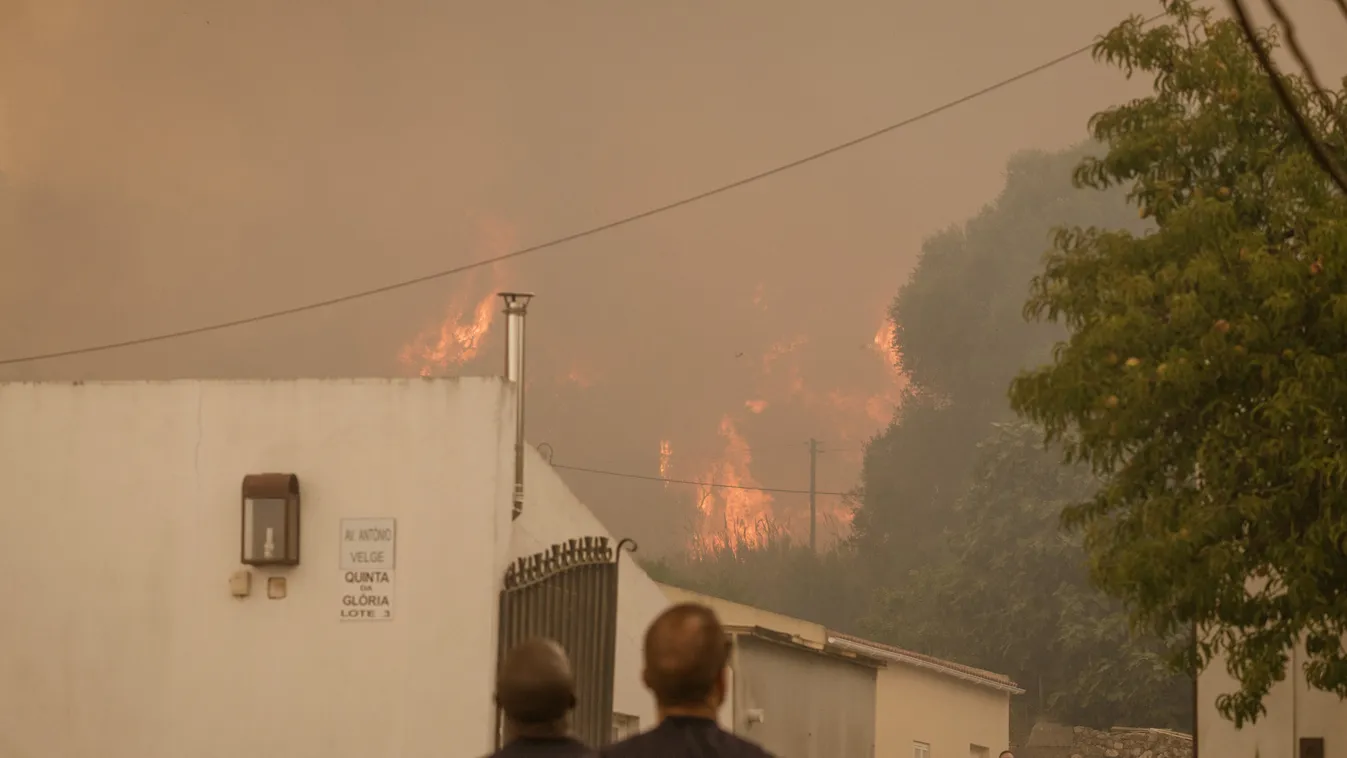 tűz, erdőtűz, bozóttűz, tűzvész, fire Portugália, Forest fire in Portugal's Palmela DISASTER,FIRE,houses,PALMELA,Portugal,WILD Horizontal 