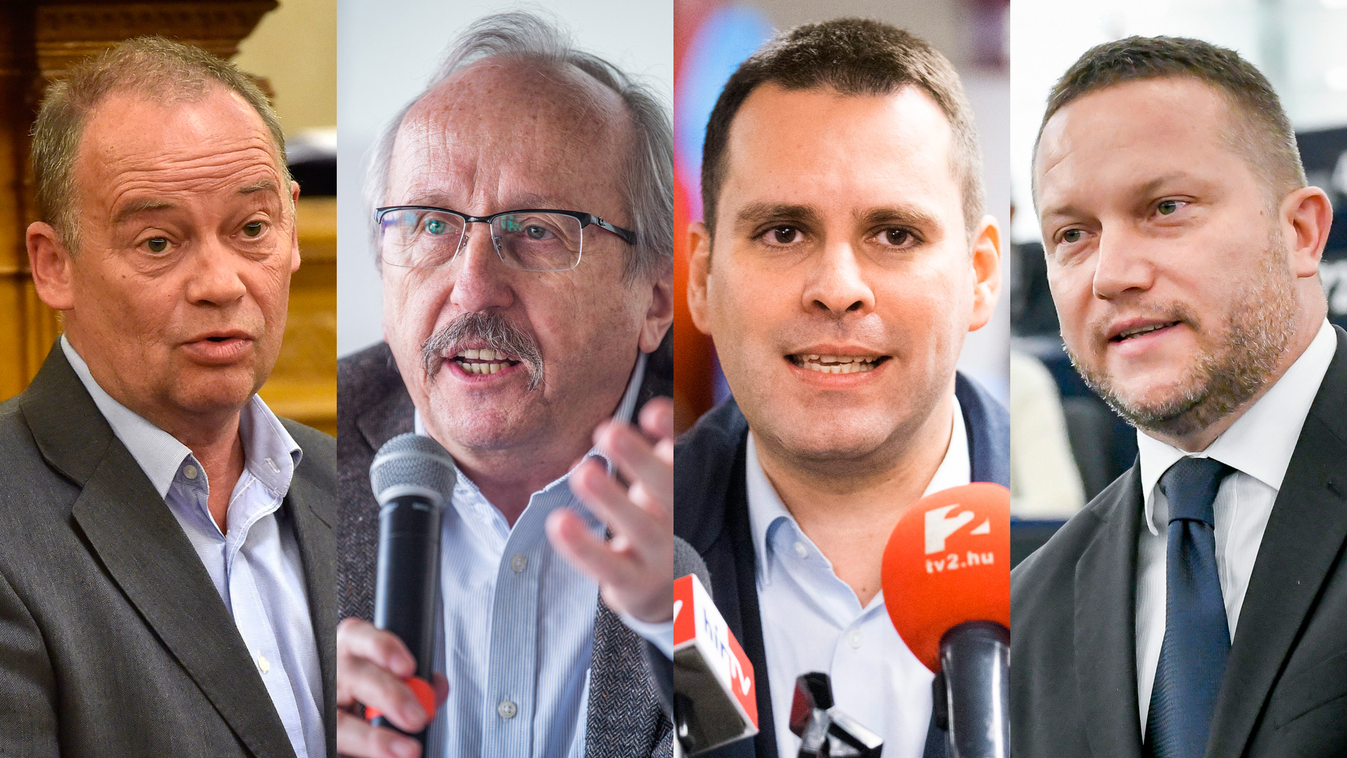 magyar EP- képviselők MSZP-s Ujhelyi István, Szanyi Tibor és a  Demokratikus Koalíció (DK) képviselői, Niedermüller Péter, valamint Molnár Csaba 