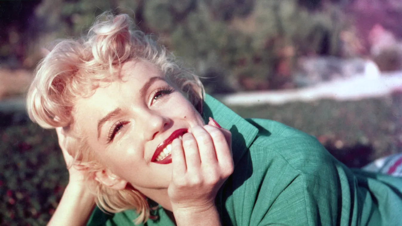 Marilyn Monroe portré 