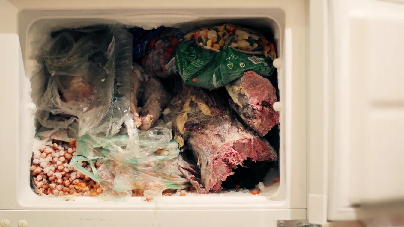 hűtőszekrény disznóvágás címlapkép 
