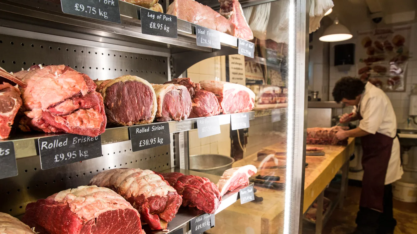 húspult hentes Close up of various cuts of beef on shelves in a butcher shop, man wearing apron standing at butcher's block. STANDING Holding Working Caucasian Ethnicity 20-25 Years Male Men Young Men Young Adult Man 