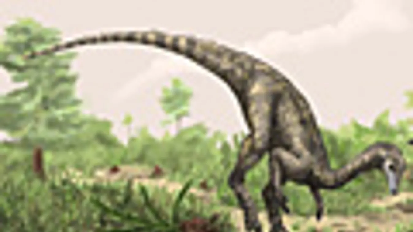 Nyasasaurus, grafika