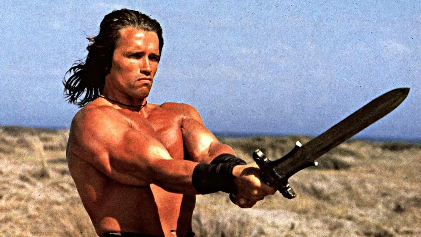 Arnold Schwarzenegger a Conan, a barbárban 
Akik harmincas éveikben lettek sikeresek – galéria 