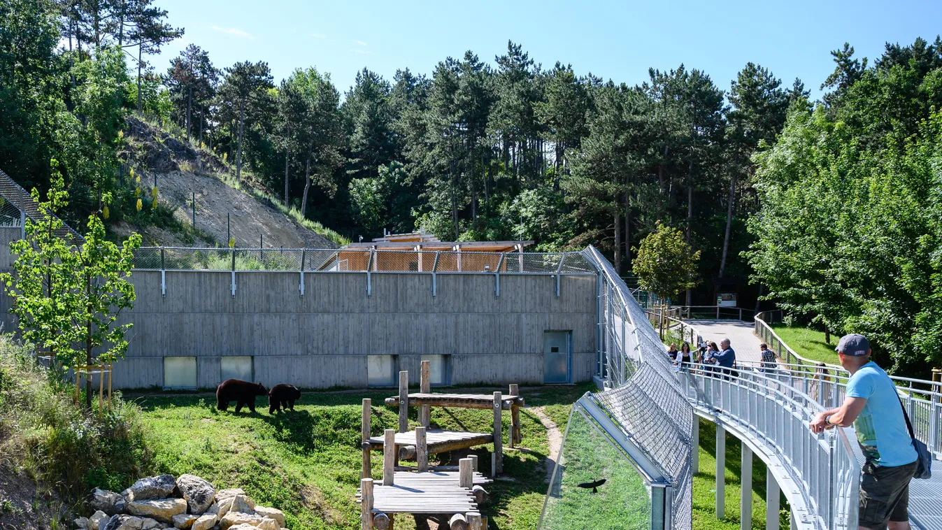 Az új medvekifutó a Veszprémi Állatkertben 