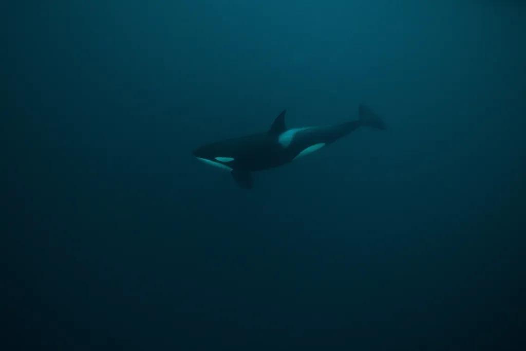 climate environment-pollution nature oceanography Horizontal