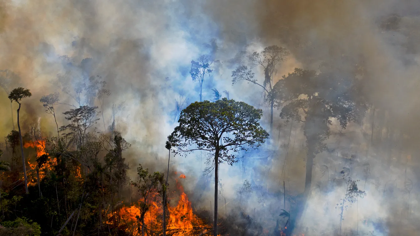 Horizontal LATIN AMERICA ENVIRONMENT AMAZONIA AMAZONIAN FOREST FOREST FOREST FIRE FIRES AND FIRE-FIGHTING SMOKE DAMAGE ARSON DEFORESTATION TROPICAL FOREST FLAME 