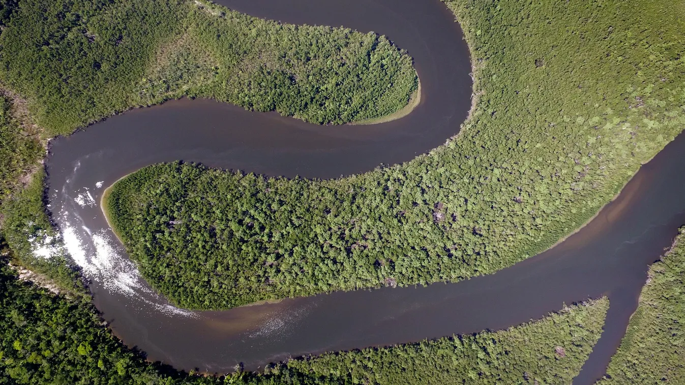 ia biodiversity lake wetlands top amazonia brasil sightseeing amazonas primary rainforest forest 
brazil Brazilia 