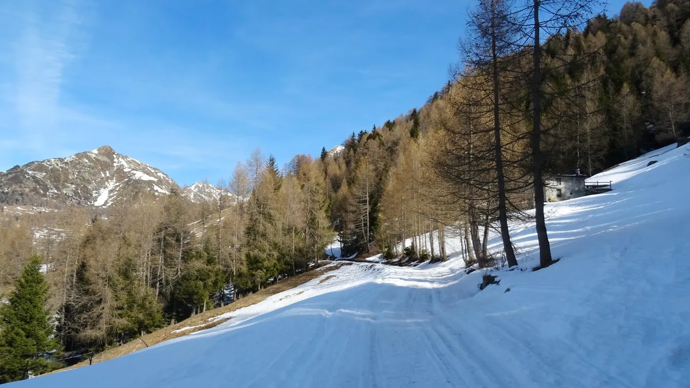 Monno,,Italy,-,March,2,2019:,The,Landscape,Of,"mortirolo" ice,brescia,ski,trail,mountain,white,neve,wood,lombardia,sky,val Camonica 