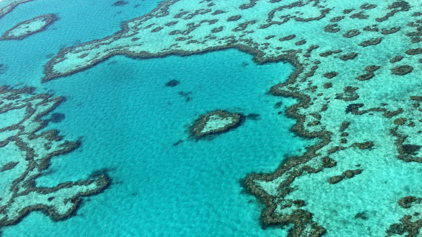 nagy korallzátony Ausztrália 
