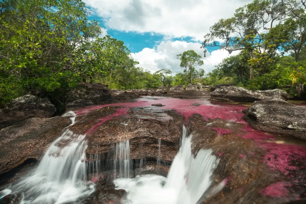 Caño Cristales folyó Kolumbia 