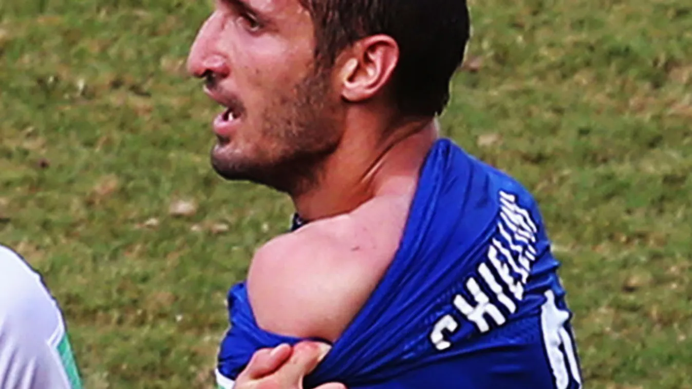 olaszország - uruguay, harapás, foci vb 2014, d-csoport, Giorgio Chiellini 