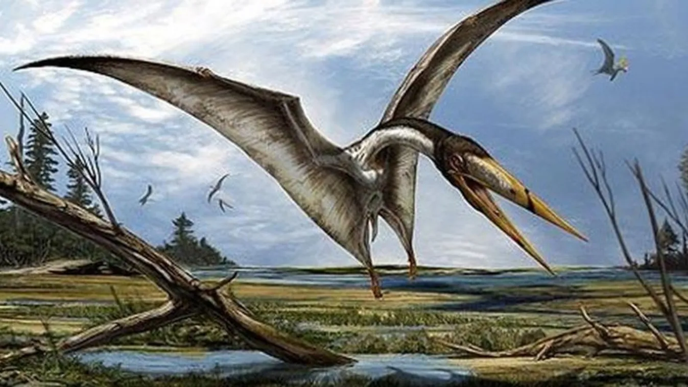 pteroszaurusz 