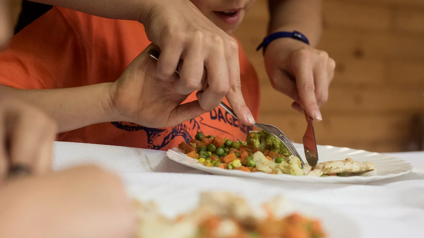 iskolai menza, gyeremek étkeztetés, egészség, menü, étel, zöldség, 2015 