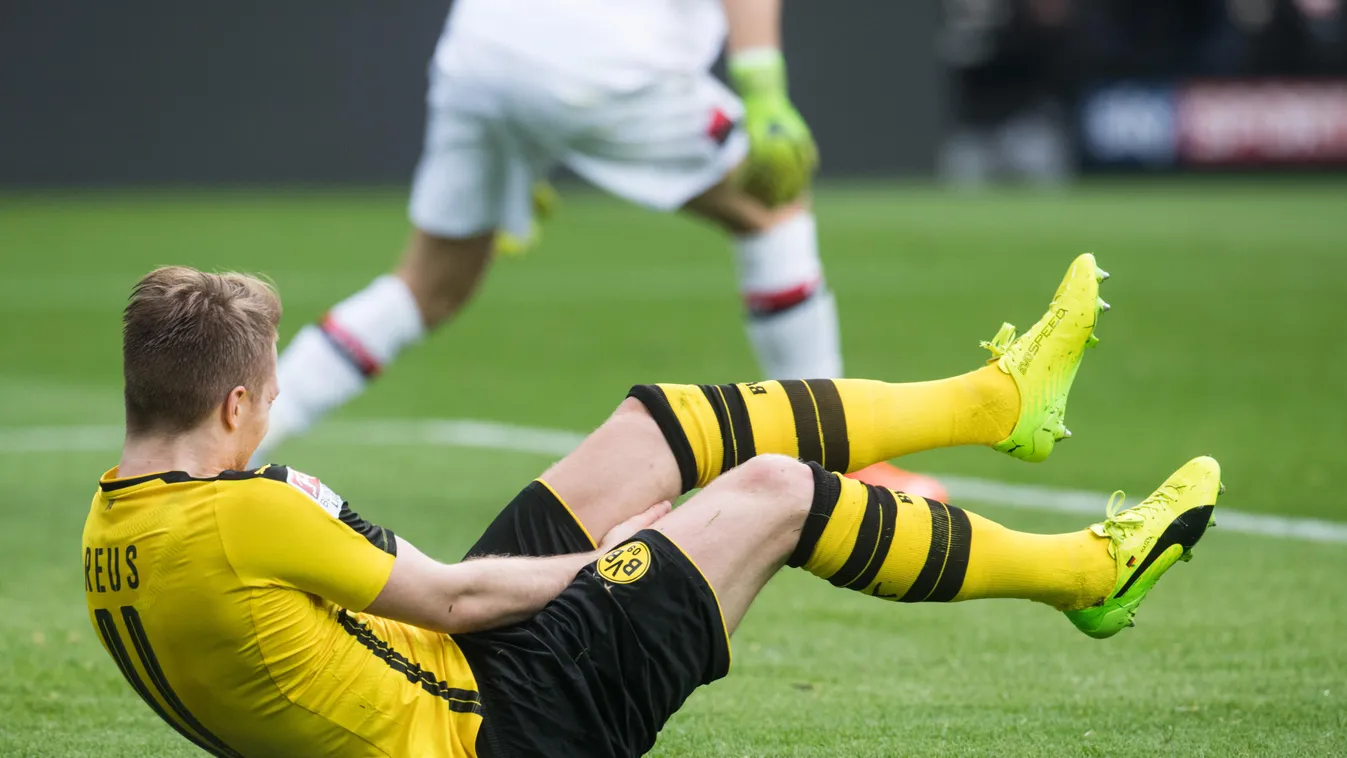 Marco Reus, Borussia Dortmund, foci 