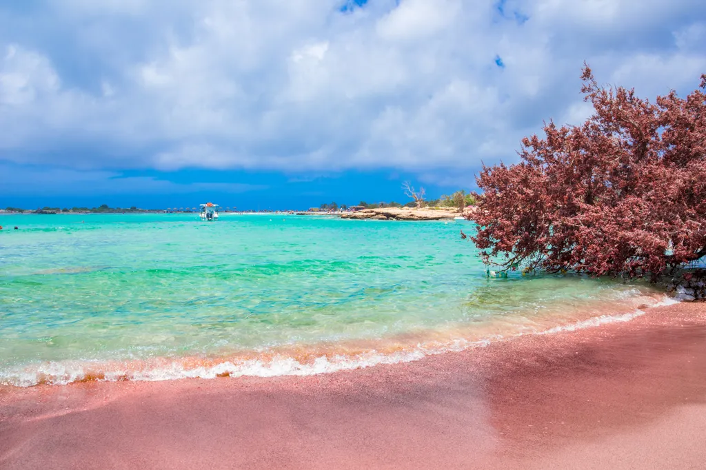elafonissi, beach, elafonisi, kréta, tengerpart, görögország, rózsaszín, homok, part 