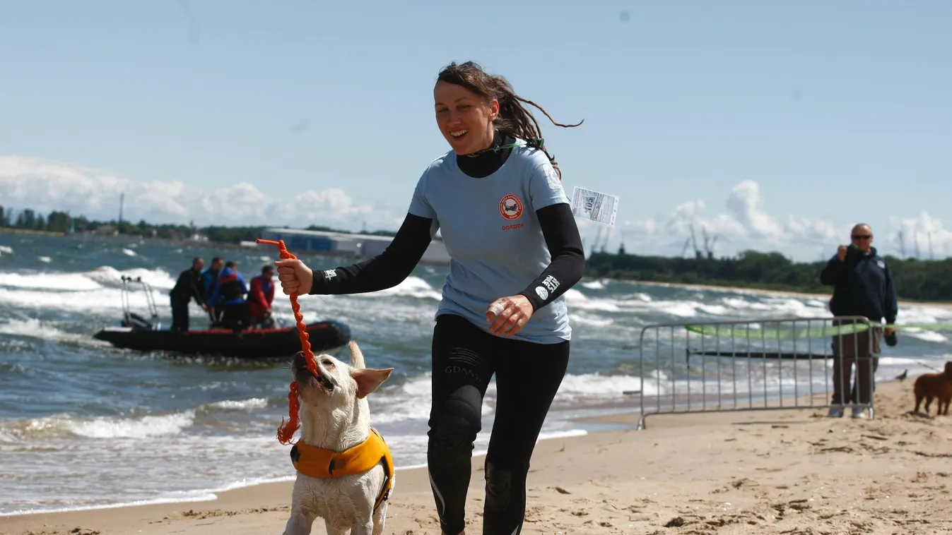 RESCUE DOG RESCUE SEA LIFEGUARD WATER BEACH SAND SQUARE 