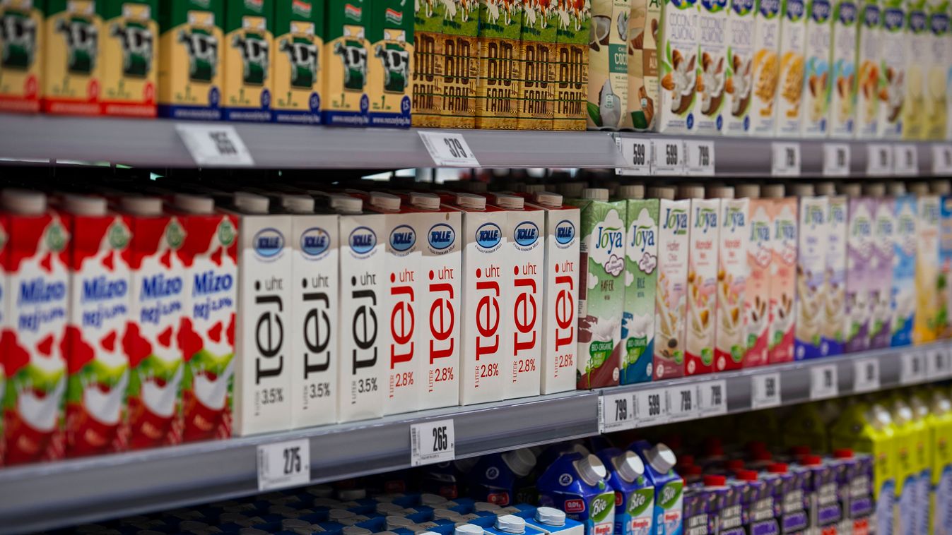 tej, dobozos tej, áruház, polc, élelmiszer,   ÁLTALÁNOS KULCSSZÓ áruház avatás bolt ÉPÜLET megnyitó tej üzletlánc 