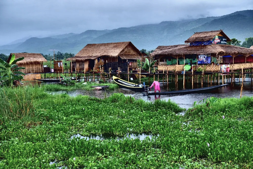 Mianmar, úszó, farm, kert, ültetvény, házak, lebegő, Inle-tó 