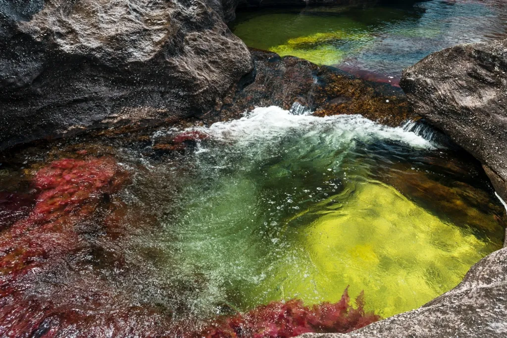 Caño Cristales folyó Kolumbia 