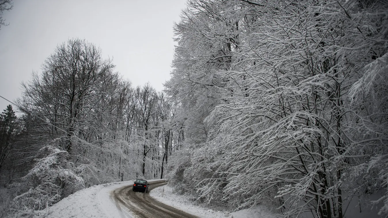 ÉVSZAK fa havas IDŐJÁRÁS kopasz fa KÖZLEKEDÉSI ESZKÖZ KÖZLEKEDÉSI LÉTESÍTMÉNY NÖVÉNY személyautó tél út Pécs, 2015. január 25.
Egy autó halad a behavazott úton a Mecsekben, Pécs közelében 2015. január 25-én.
MTI Fotó: Sóki Tamás 