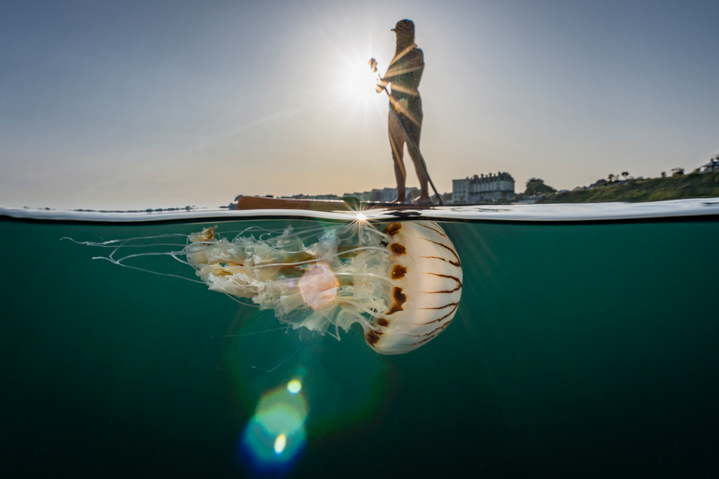 Underwater Photographer of the Year 2022 