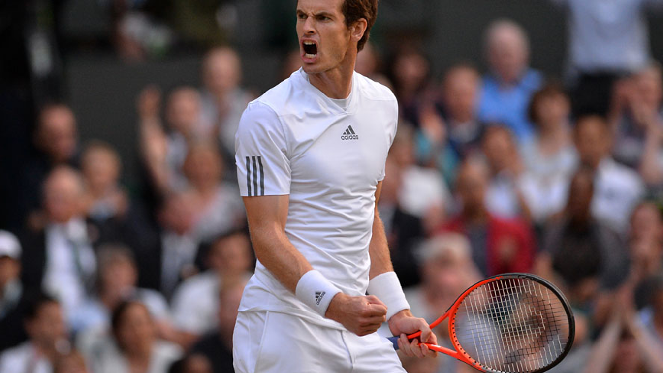 Andy Murray, tenisz