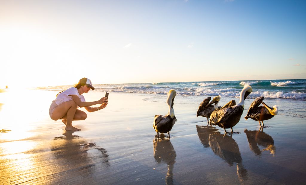 Mexikói-öböl partja Kuba, Varadero, 
  Varadero - Cuba nurphoto general news cuba tourism travel destination relax picture of pelicans manuel romano cárdenas woman people on beach outdoor cárdenas 