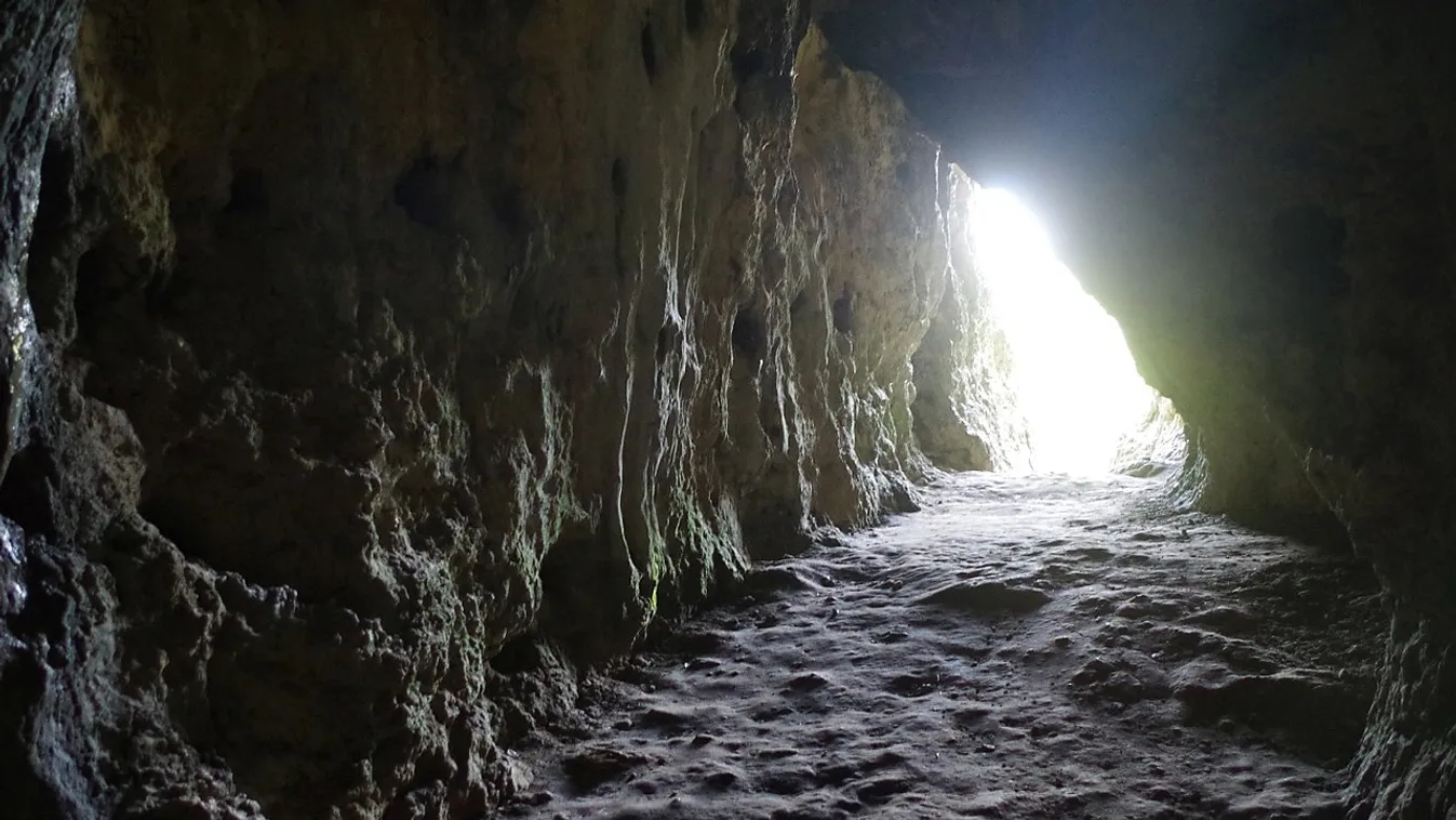 Lengyelország, régészet, Stajnia barlang 