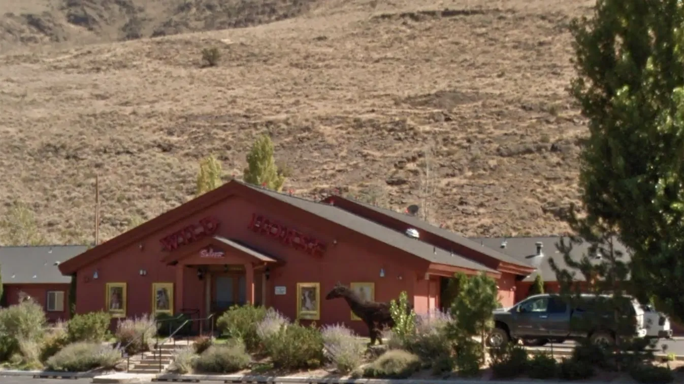 world famous mustang ranch, bordélyház, Nevada 