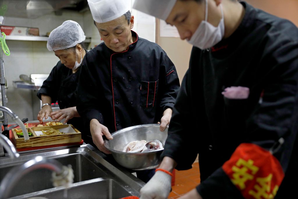 Étkezési célú gömbhaltenyésztés Kínában  - galériaÉtkezési célú gömbhaltenyésztés Kínában  - galéria 