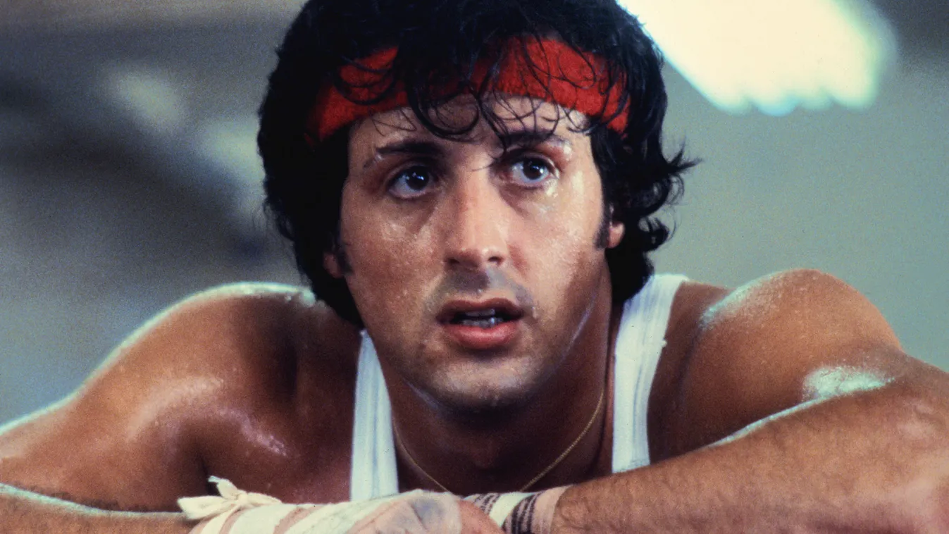 Rocky II, Sylvester Stallone 