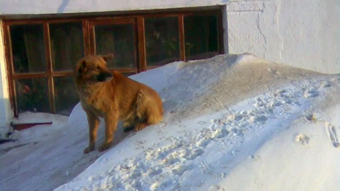 betemette a hó egy rendőr házát Kocson
