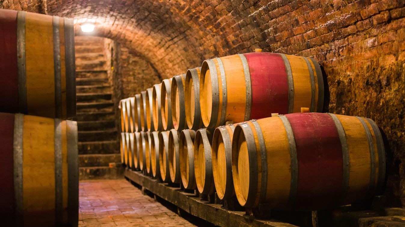 alcohol alcoholic angle background basement beverage brown bunch cellar drink indoor lot lots many oak old several stack texture vault vinery vineyard viticulture wide widel wine wood wooden Oak barrels in a traditional hungarian cellar for producing wine
