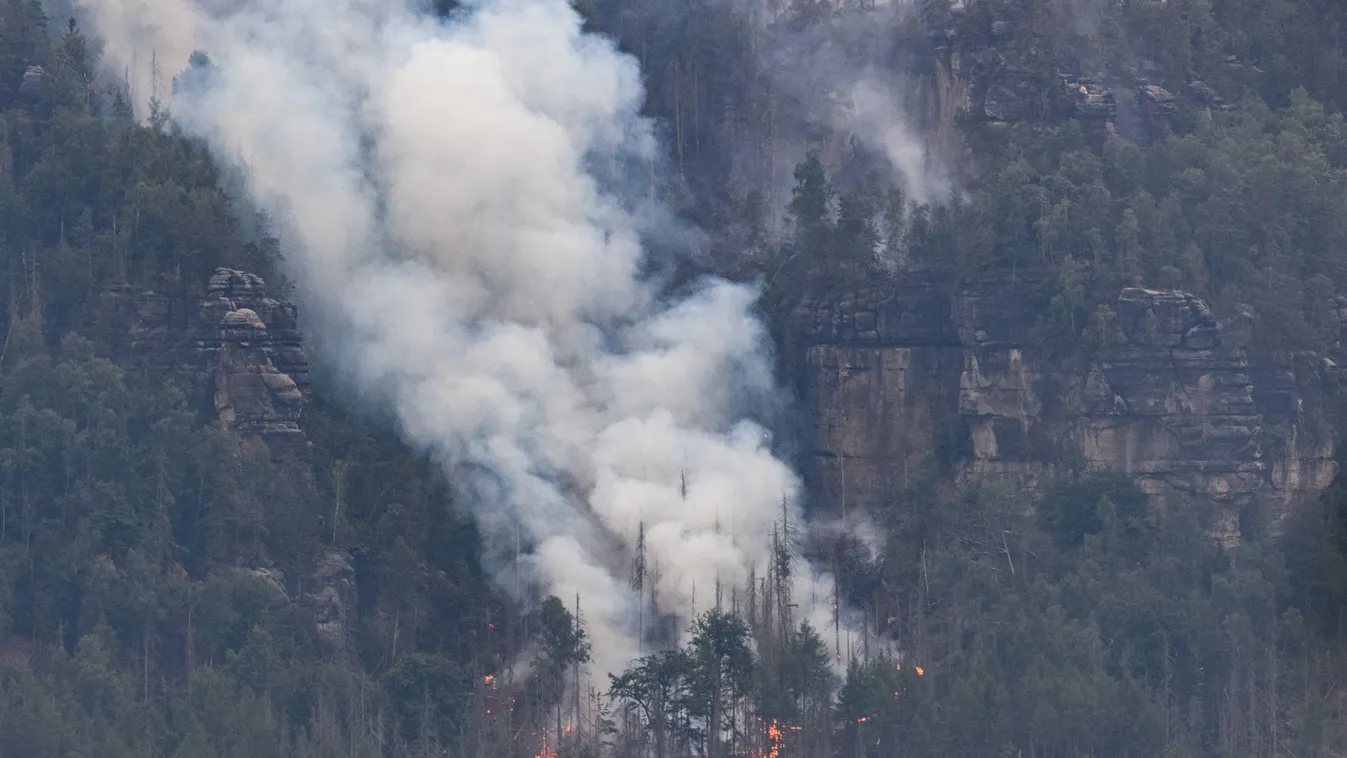 Csehország, Cseh Svájc, erdő, erdőtűz, lángok, lángol, tűz, természet, szárazság 