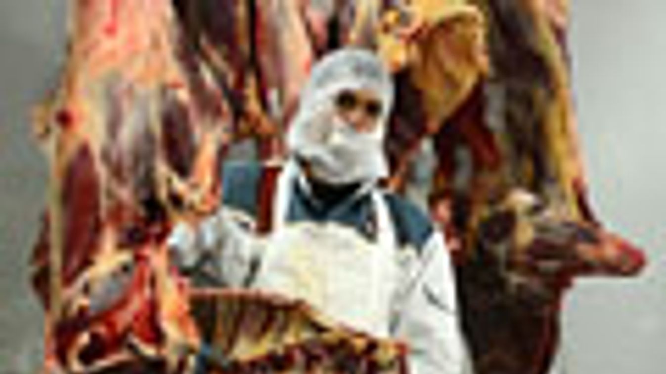 ételmiszer-biztonság, élelmiszer-lánc, Minden napra jut mérgezett nápolyiból, A lóhúsbotrányban érintett romániai DOLY-COM vágóhídján pakol marhahúst egy alkalmazott 2013. február 12-én