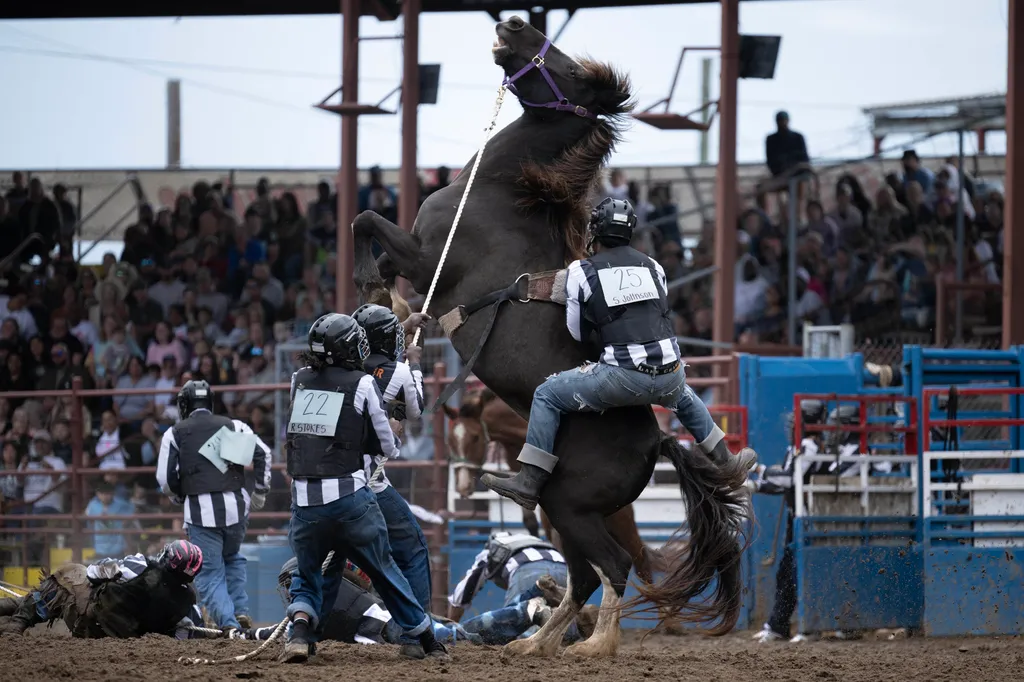 Rodeó rabok,rab, Louisiana,  Wild Horse Racing where they attempt to subdue a horse long enough to mount and ride it during the Angola Prison Rodeo held at the Louisiana State Penitentiary April 23, 2023, in Angola, Louisiana. - The ro 