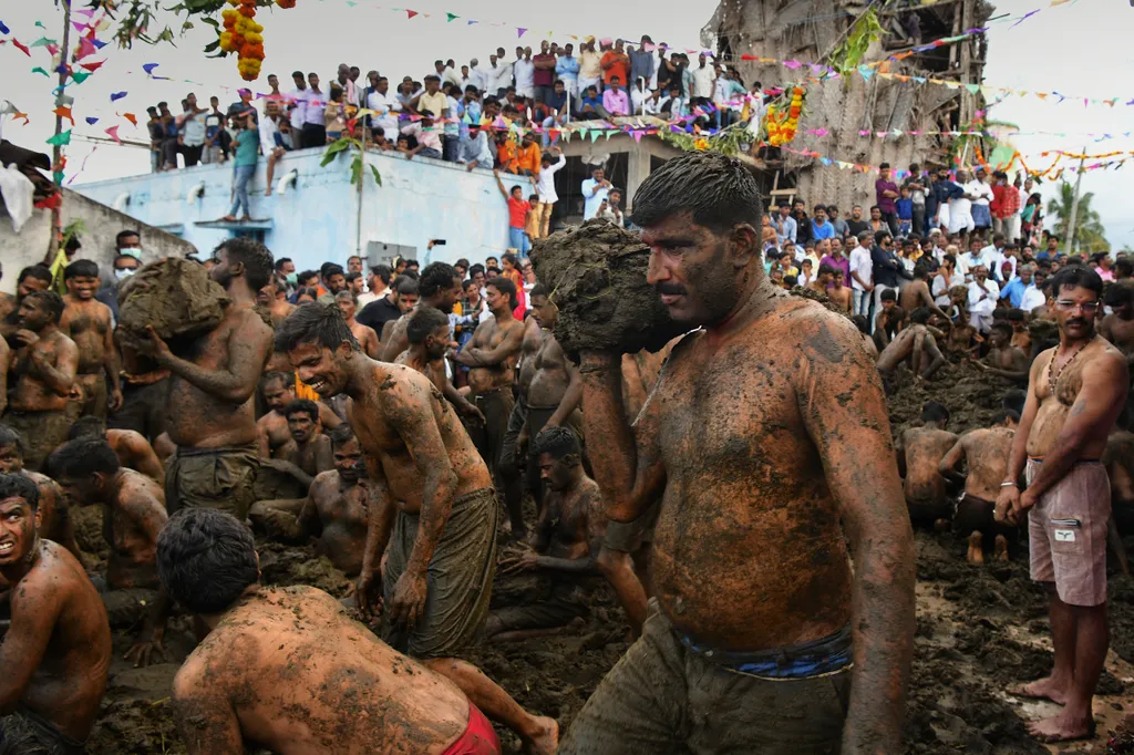 Gumatapura tehántrágya fesztivál ünnep India 